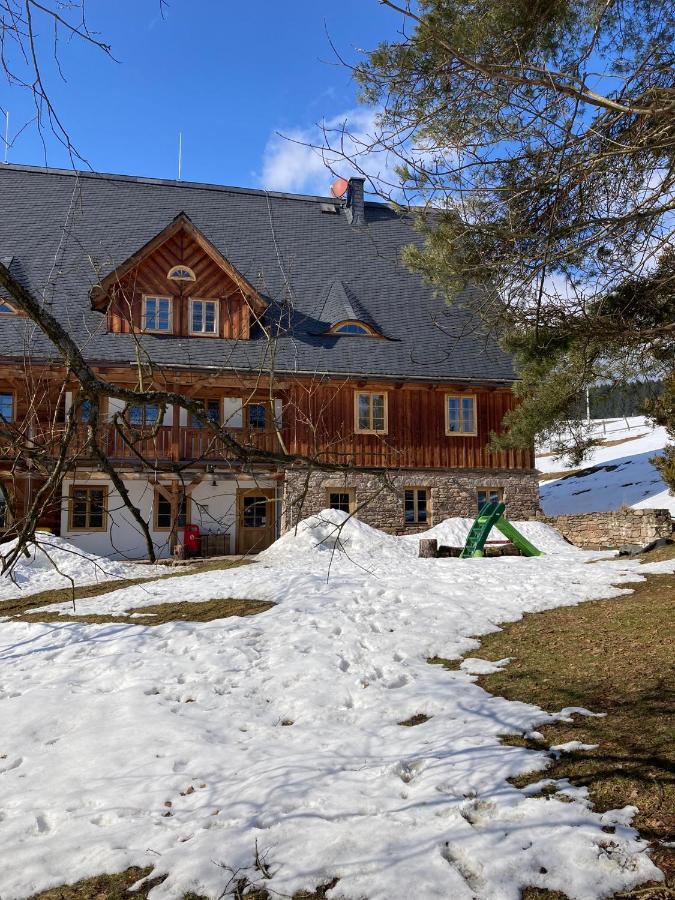 Отель Samota U Hadince Bartosovice v Orlickych Horach Экстерьер фото
