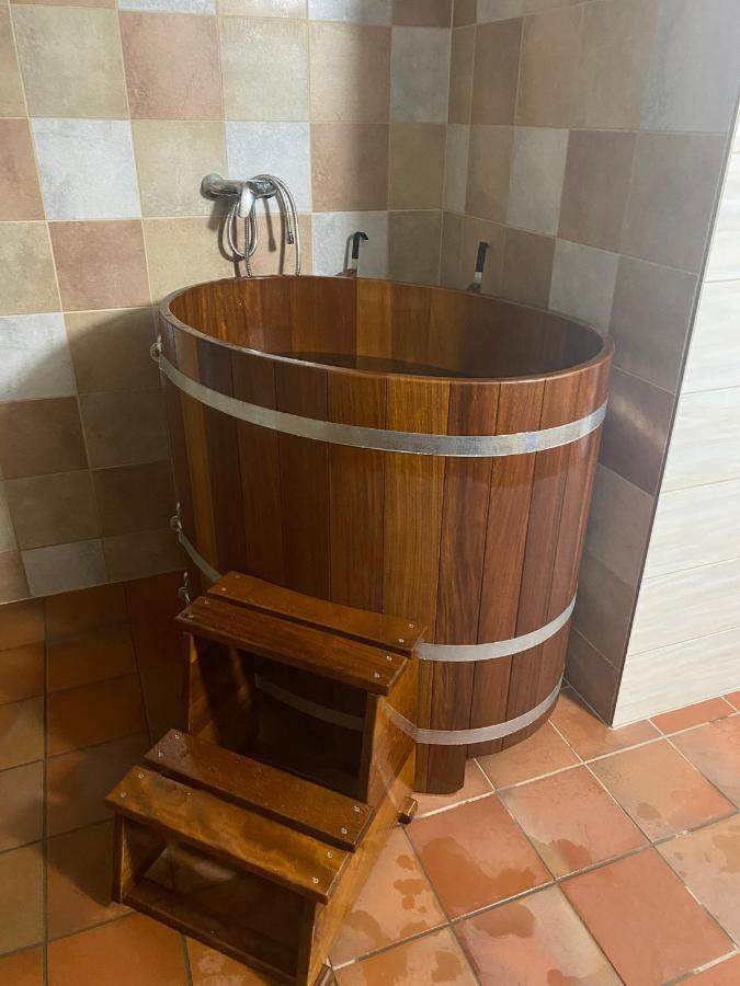 Отель Samota U Hadince Bartosovice v Orlickych Horach Экстерьер фото